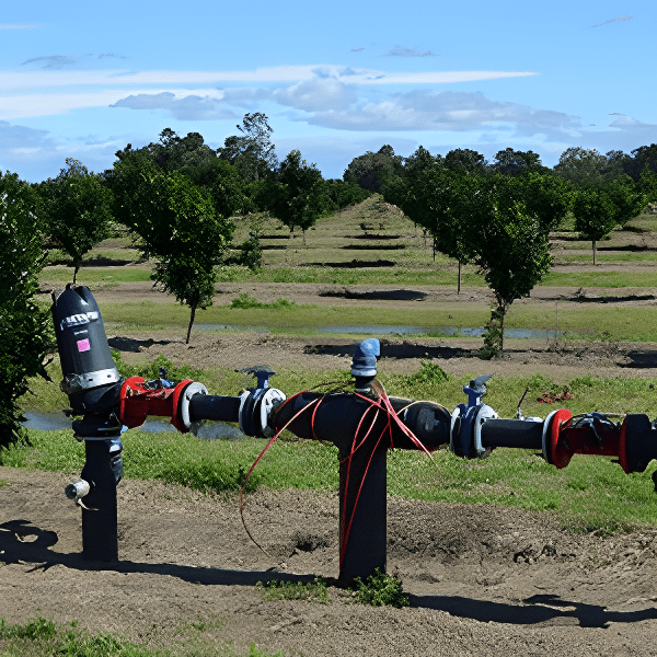 A water pipe with two valves and one of them is in the middle of an orchard.