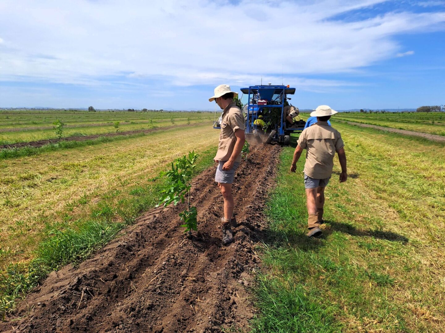 Two people in a field with a tractor