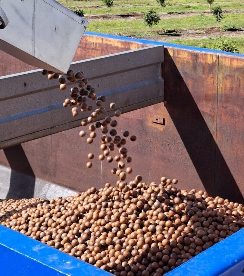 Processing Services for Growers